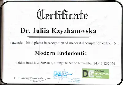 CERTIFICATE: Awarded this diploma in recognition of successful completion of the 16-hour course - Yulia Kryzhanovska