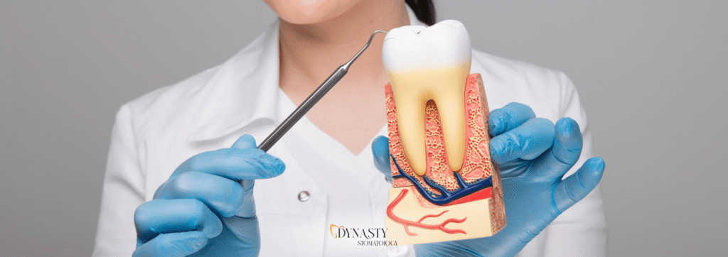Endodontic Tooth Treatment – What It Is, When It’s Needed & How It’s Performed