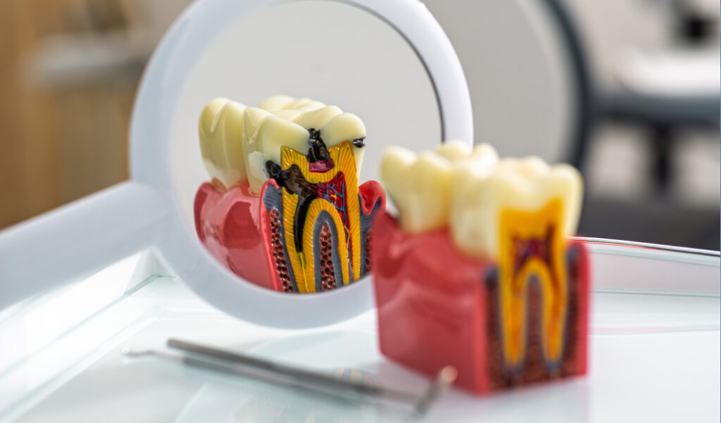 Restorative Dentistry Guide — Everything You Need to Know